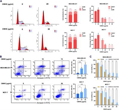 Commiphora myrrha n-hexane extract suppressed breast cancer progression through induction of G0/G1 phase arrest and apoptotic cell death by inhibiting the Cyclin D1/CDK4-Rb signaling pathway